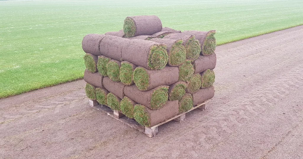 gazon en rouleau